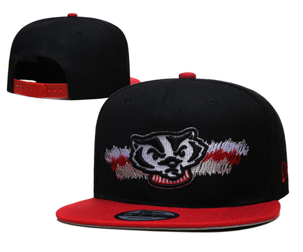 Wisconsin Badgers Stitched Snapback Hats 003